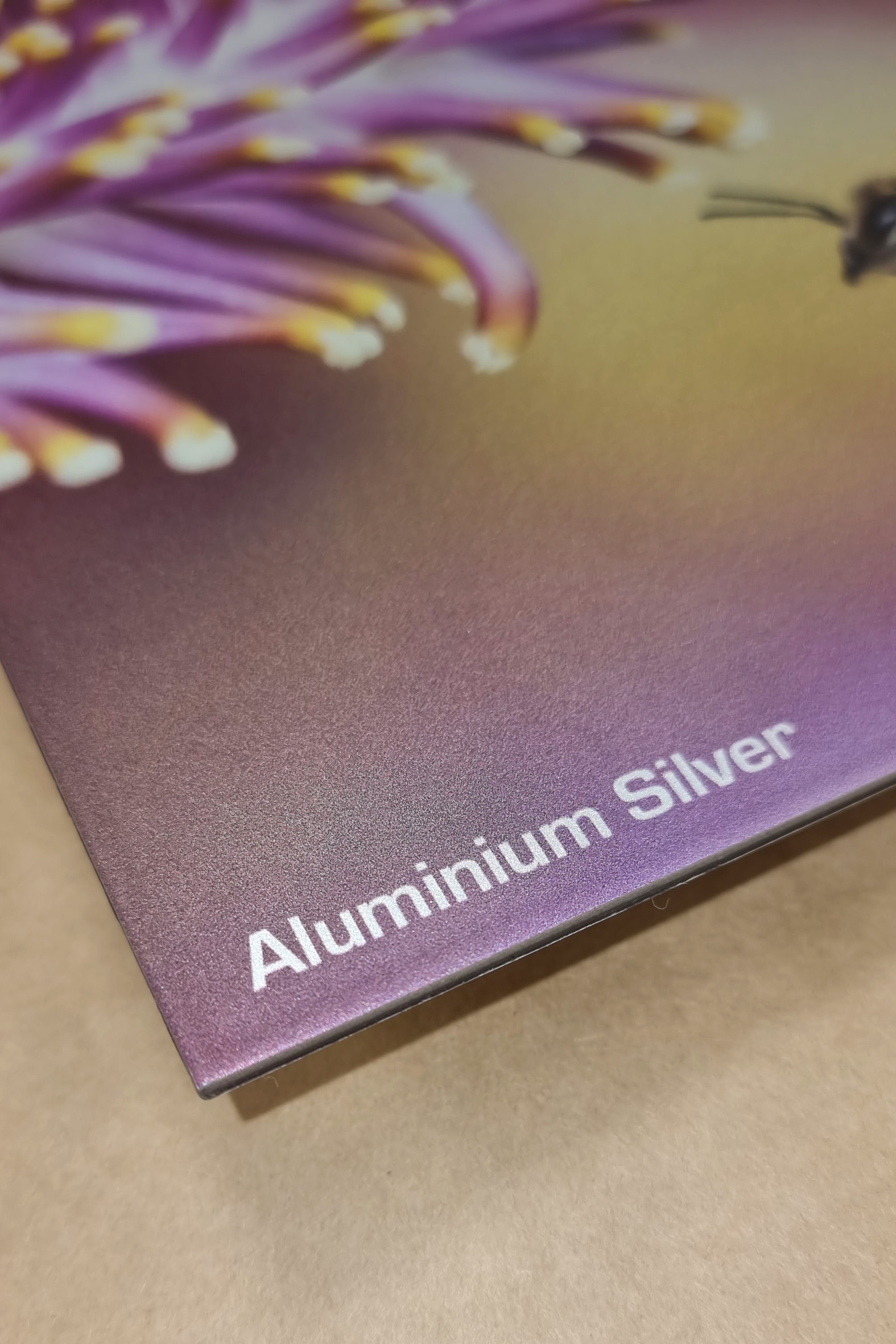 print på aluminium dibond