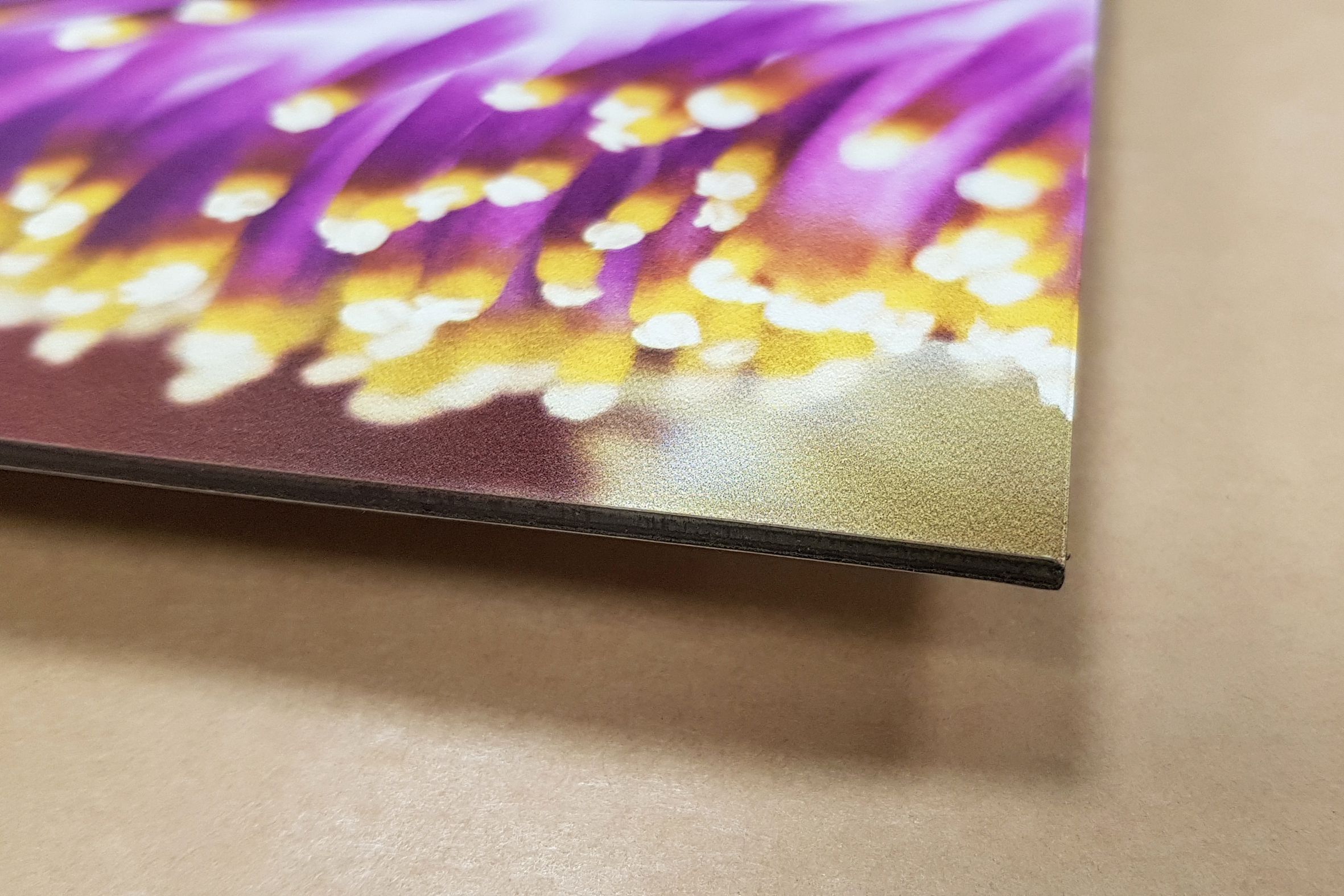 print på Dibond vit