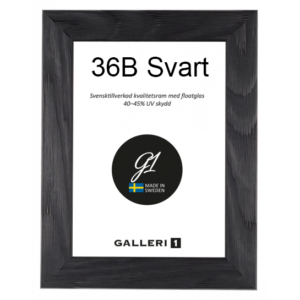 Galleri1 36B Svart