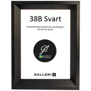 Galleri1 38B Svart