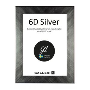 Galleri1 6D Silver