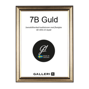 Galleri1 7B Guld