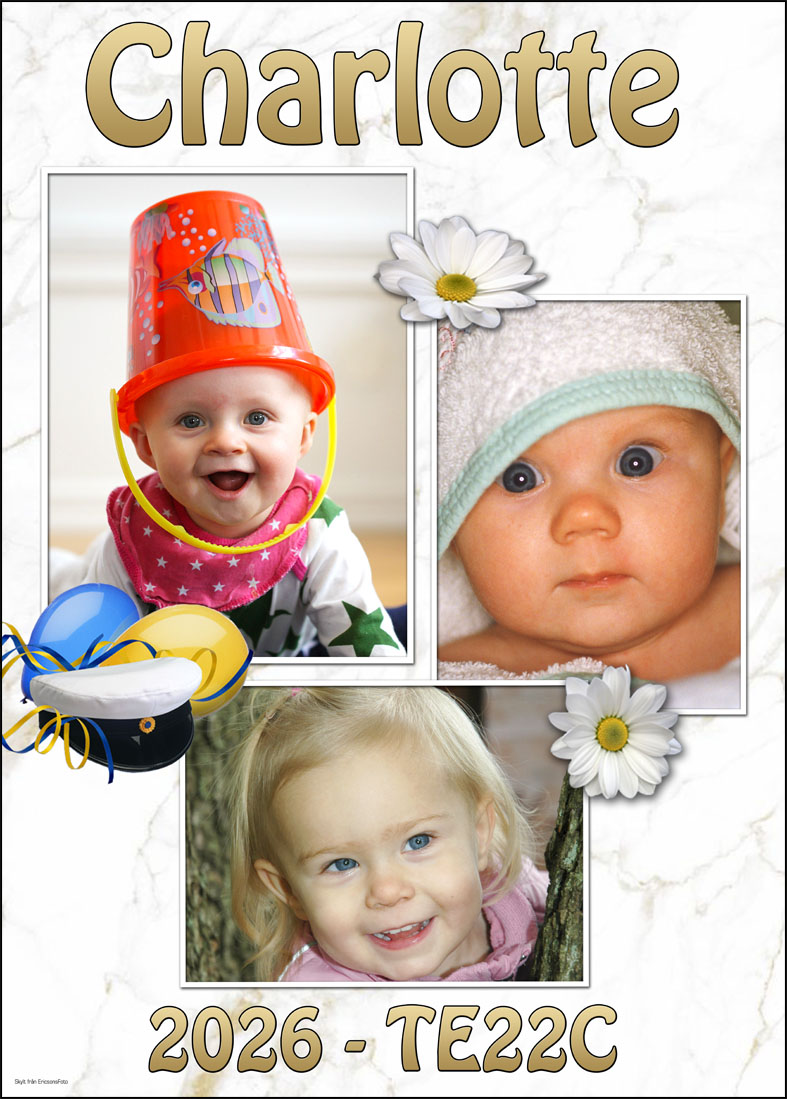 Studentskylt med plats för flera bilder