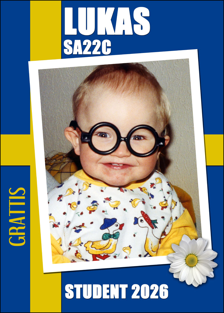 Studentskylt med Svenskaflaggan, Stor bild