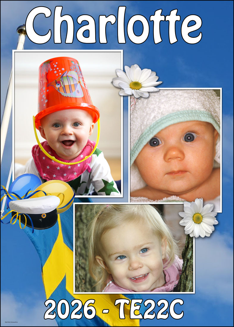 flerbildsmall för studentskylt 2026