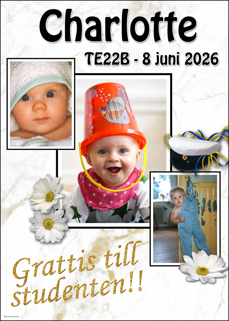 Studentskylt 2026 / Studentplakat