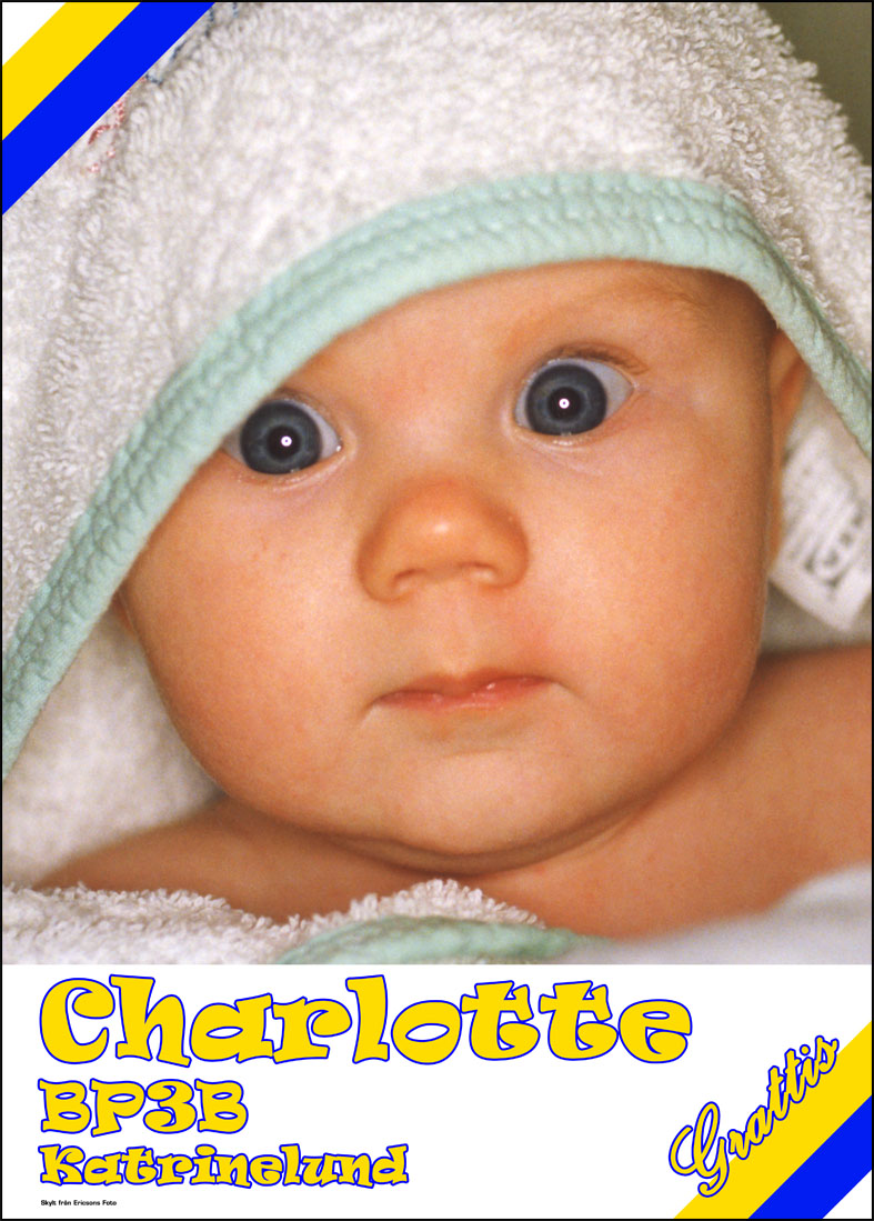 Studentskylt 2026 / Studentplakat hos ericsonsfoto.se