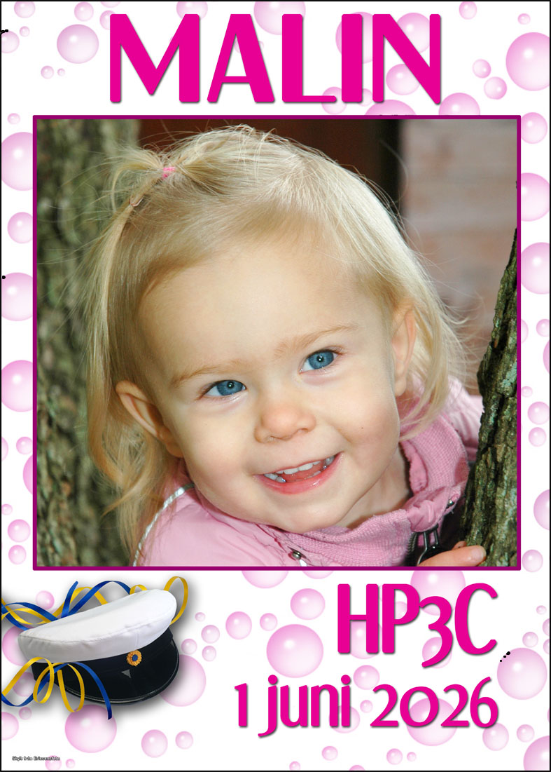 Studentskylt 2026 / Studentplakat hos ericsonsfoto.se