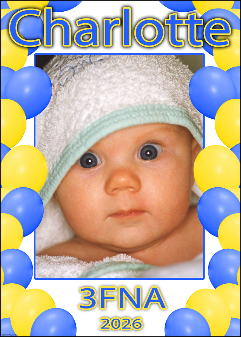 Studentskylt 2026 / Studentplakat hos ericsonsfoto.se