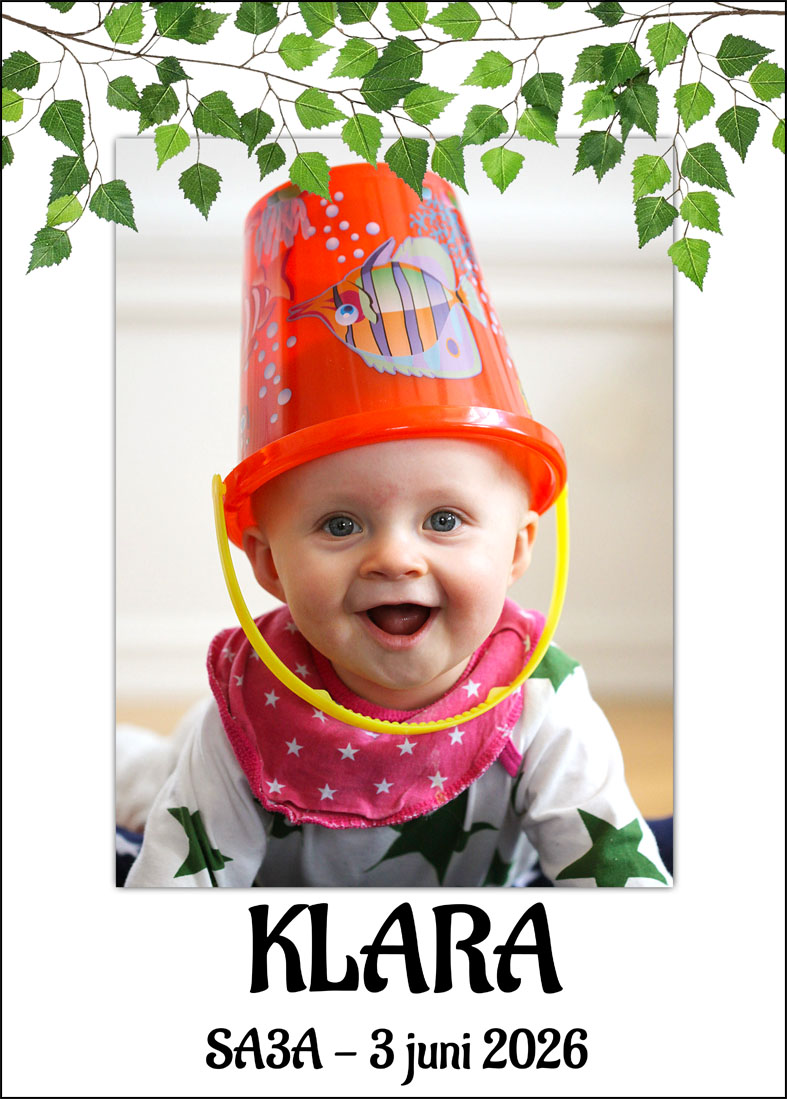 Studentskylt med fina gröna blad, stor bild